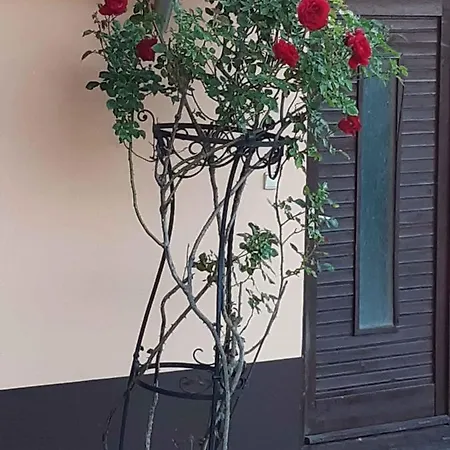 In 20650 Apartment Zalakaros